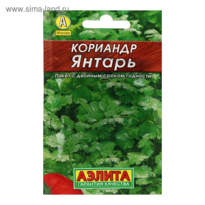 Кориандр (Кинза) Янтарь (2029; .17.07.38)