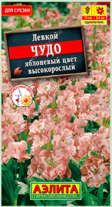Левкой высокорослый Чудо яблоневый цвет (2024; 138.24.07)