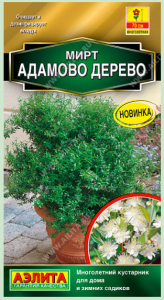 Мирт Адамово дерево (2024; 76.02.01)