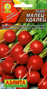 Редис Малец-удалец (2024; 19.130.01) ц/п
