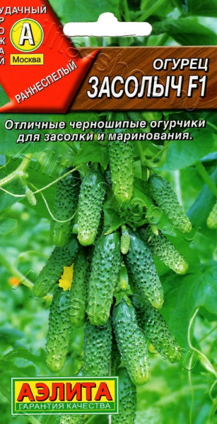 Огурец Засолыч F1 (2030; .12.480.11)