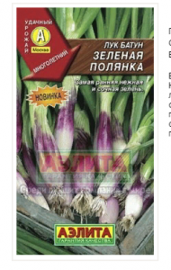 Лук батун Стражник (2027; 10.148.01 /5)