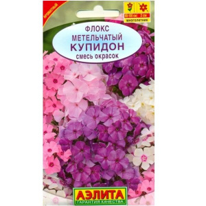 Флокс метельчатый Купидон, смесь сортов (2029; .212.45.09)
