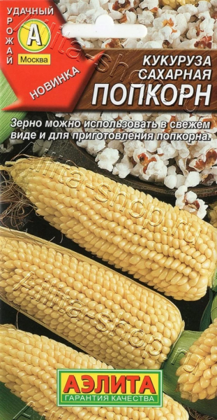 Кукуруза сахарная Попкорн (2027; 17.155.13)