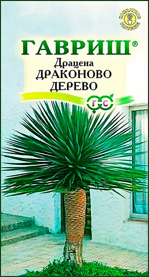 Драцена Драконово Дерево 3 шт. (Гавриш) R4692