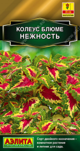 Колеус блюме Нежность (2029; .156.23.22)