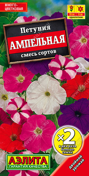 Петуния Ампельная, смесь сортов (2029; .161.428.12)