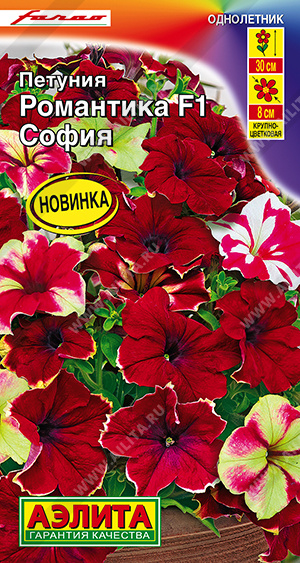 Петуния Романтика F1 софия (2029; .161.460.01)
