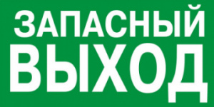 Знак "ЗАПАСНЫЙ ВЫХОД" 200х100мм TDM  SQ0817-0057