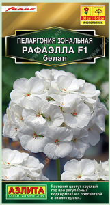Снимок экрана 2023-12-07 211522