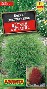 Кохия Летний кипарис (2029; .294.02.14)