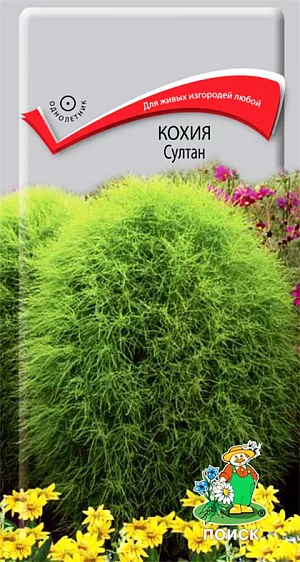 Кохия Султан 0,1гр. (Поиск) R2836