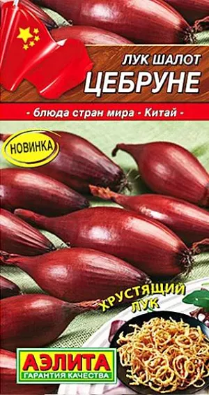 Лук шалот Цебруне (2028; .10.141.05)