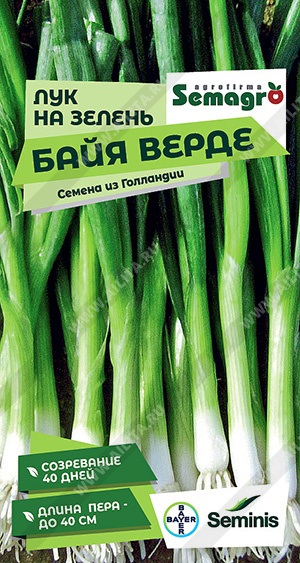 Лук на зелень Байя Верде (2029; 0628)