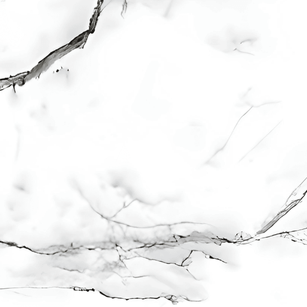 Панель PVC Stella Marble Белая Ночь 2800*1200*1,2мм																						
