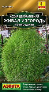 Кохия Живая изгородь изумрудная (2028; .294.06.02)
