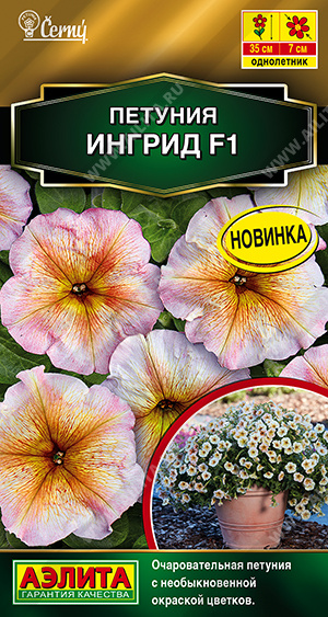 Петуния Клюква в сахаре F1 крупноцветковая, смесь сортов (2029; .161.851.05)