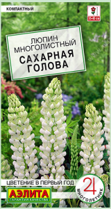 Люпин Сахарная голова (2024; 135.18.01)													