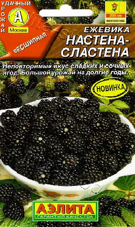 Ежевика Настена-сластена (2028; .17.458.02)