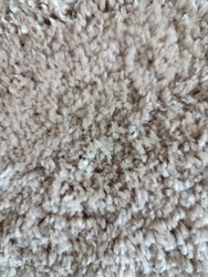 Ковровое покрытие Sharliz s600 CREAM-BEIGE - ш.2 м