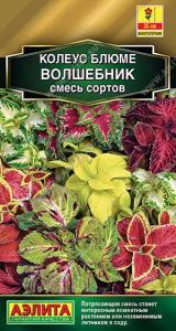 Колеус блюме Волшебник, смесь сортов (2029; .156.21.27)