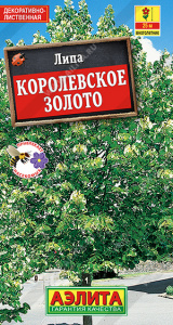 Липа пушистая Королевское золото (2028; .314.01.02)