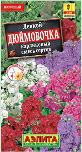 Левкой карликовый Дюймовочка, смесь окрасок (цветная пачка)
