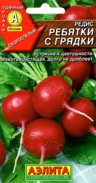 Редис Ребятки с грядки (2029; 19.120.03 /18)