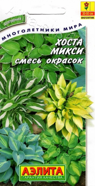 Хоста Микси, смесь сортов (2026; 221.01.14)