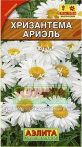 Хризантема Ариэль (2029; .200.23.10)