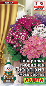 Цинерария гибридная Сюрприз, смесь сортов (2028; .213.15.04)