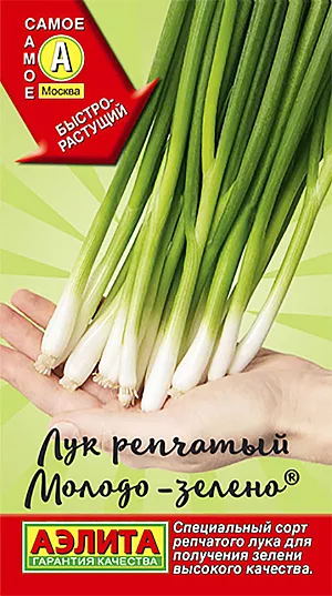 Лук репчатый Молодо-зелено (2028; .10.137.04)