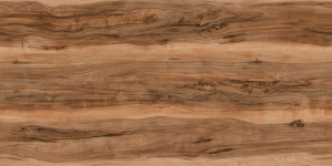 Столешница матовая 3000x600x38 №С567/38 Индийский Шишам, влагостойкая
