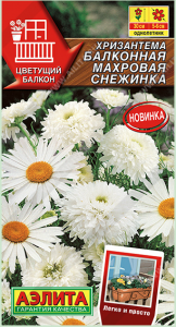 Хризантема балконная Махровая снежинка (2024; 200.30.02)