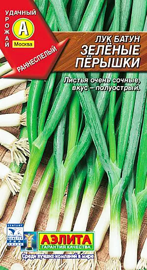 Лук батун Зеленые перышки (2026; 10.80.01)