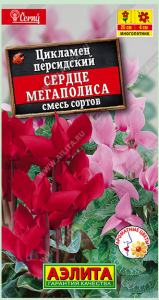 Цикламен персидский Сердце мегаполиса, смесь (цветная пачка)2021/08