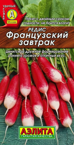 Редис Французский завтрак (2029; .19.12.64)