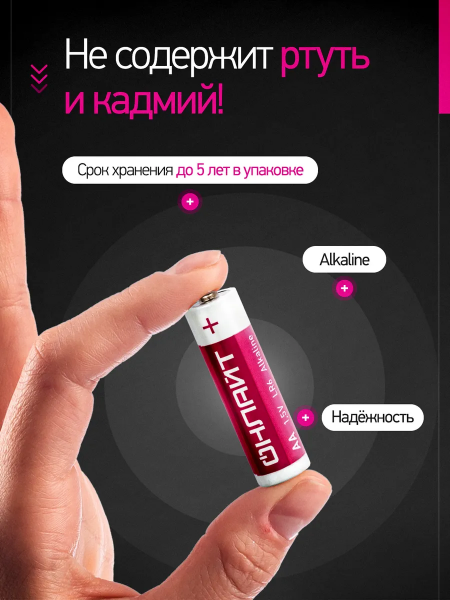 Батарейка OBT-ALK-LR6-BOX24