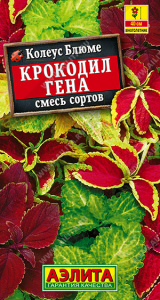 Колеус блюме Крокодил Гена, смесь сортов (2029; .156.36.02)