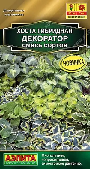 Хоста Декоратор, смесь сортов (2027; 221.02.02 /1)