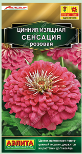 Снимок экрана 2023-12-12 010119