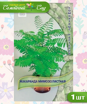 Жакаранда мимозолистная 5шт. (Поиск) R8441