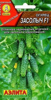 Огурец Засолыч F1 (2030; .12.480.11)