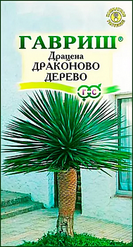 Драцена Драконово Дерево 3 шт. (Гавриш) R4692