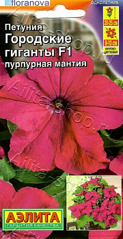 Петуния Городские гиганты F1 пурпурная мантия (2026; 161.880.02)