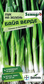 Лук на зелень Байя Верде (2029; 0628)